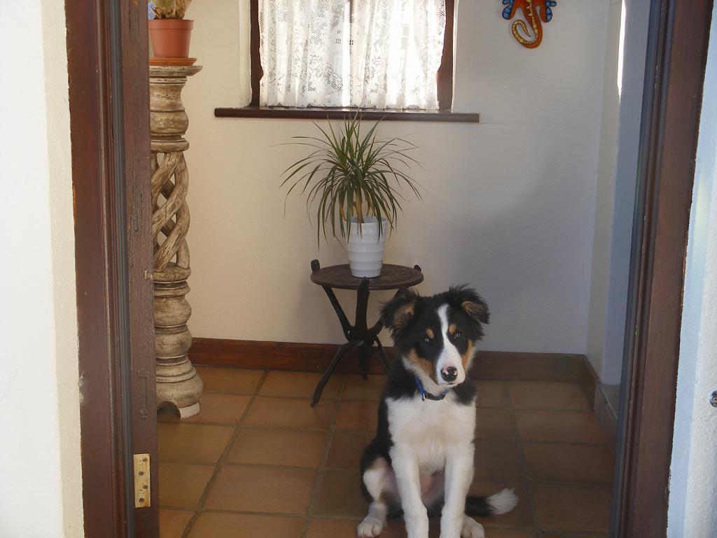 Doolin Cottage Accommodation المظهر الخارجي الصورة